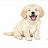 q1WadA9hKLA-channel-avatar-AnimalStoryTV