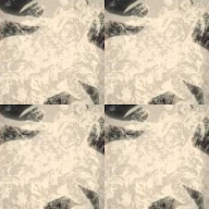 thumbnail img1x1