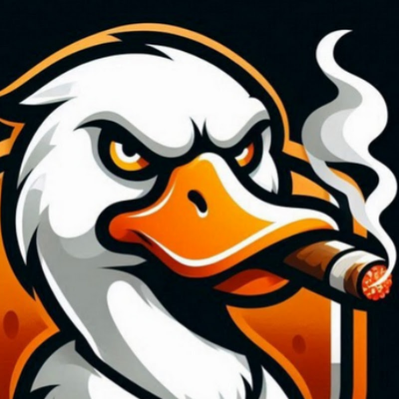 Team Valiant Duck