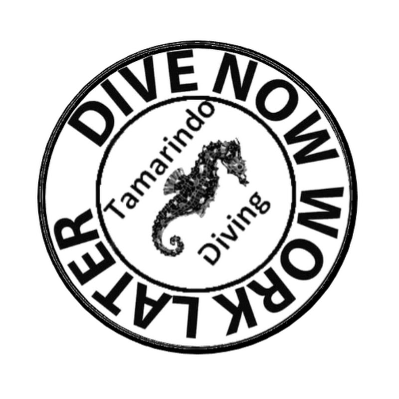 Tamarindo Diving Center CR