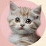 Xeen4UL5PdI-channel-avatar-Cat Sweet World