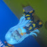 5ZQtfKEypnI-channel-avatar-Anickaaa