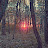 @Mordfustang847