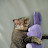 Photo of @Ibadsolihin-o2p