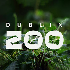 Dublin Zoo channel avatar