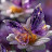 @اياتحسين-غ5و