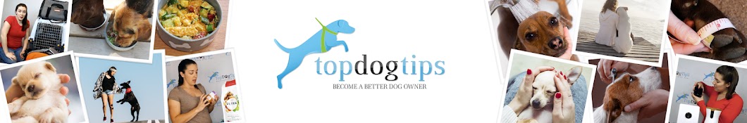 Top Dog Tips Avatar canale YouTube 
