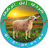 QGVWs-ASHy4-channel-avatar-Mouton Sardi Ibnorida-حولي صردي إبن الرضى