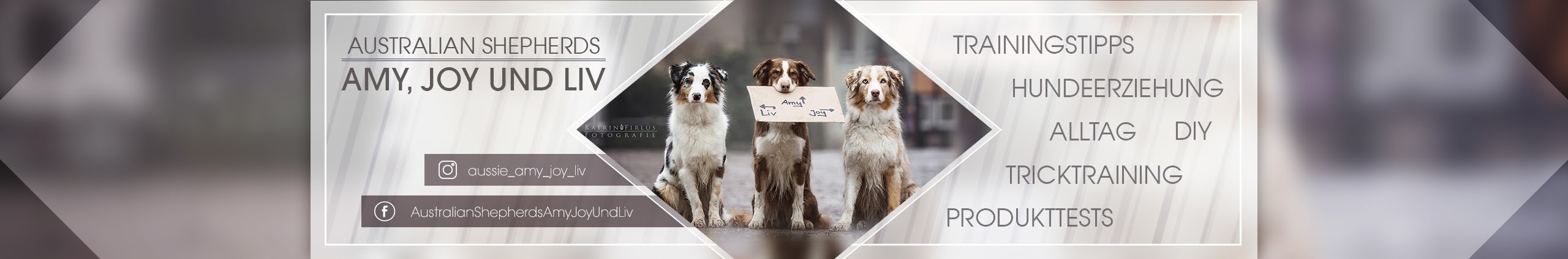 Australian Shepherds Amy, Joy und Liv YouTube Channel Analytics and Report  - Powered by NoxInfluencer Mobile