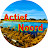 Actief Noord