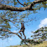 nBtvC30m3RY-channel-avatar-South West Adventures