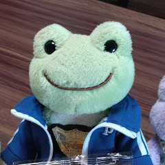 イリガサ(IRIGASA)