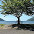 Z6DTDKDpHAg-channel-avatar-Freddie CAT 山50