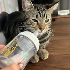 限界会社復帰拒否ママアイコン画像