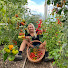 JrrSe1158GE-channel-avatar-Ogródek pod nosem / A garden right under your nose