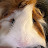 @sasquatch_886's avatar