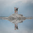 cxEWtBip6FE-channel-avatar-Luke & Alie 