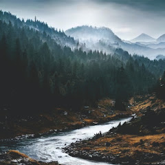 Sani