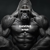 Gaming NTSP +