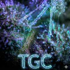 The Green Corner Podcast