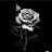 @SamarAl-t9u4j
