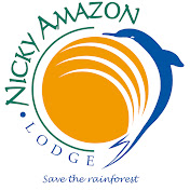 Nicky Amazon Lodge