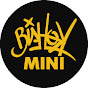 BISHOK MINI
