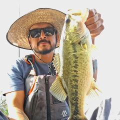 Fish Tejas