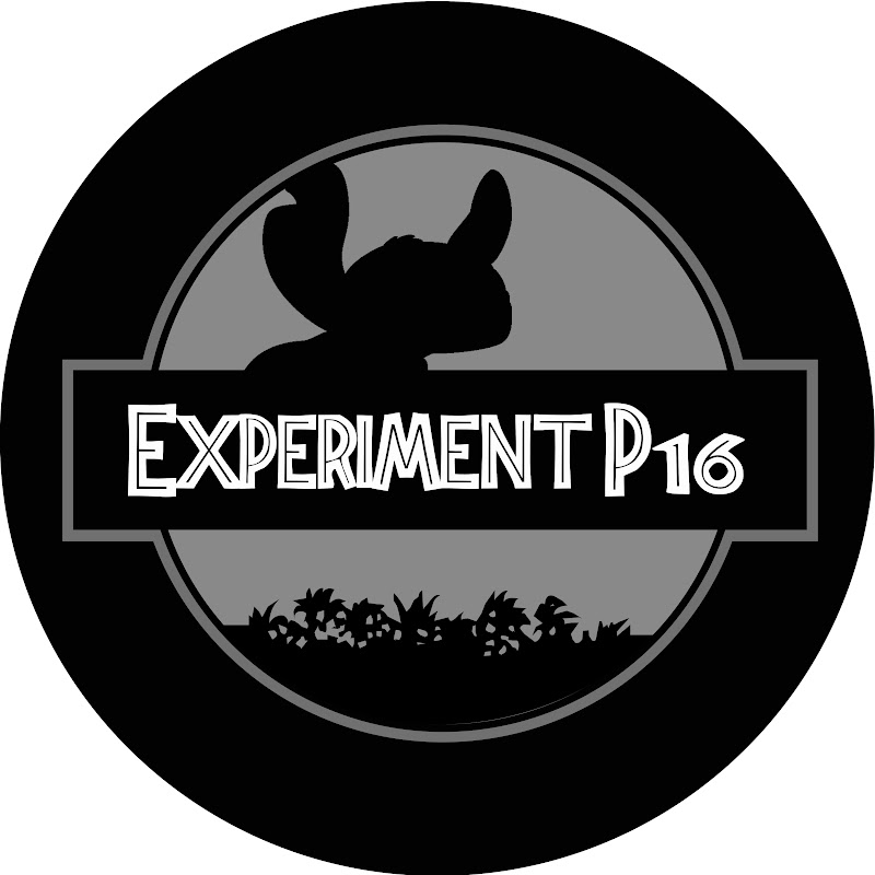 Experiment P16