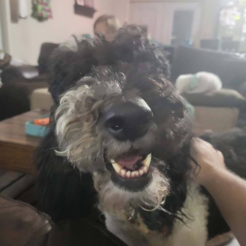 Park Cosmo
