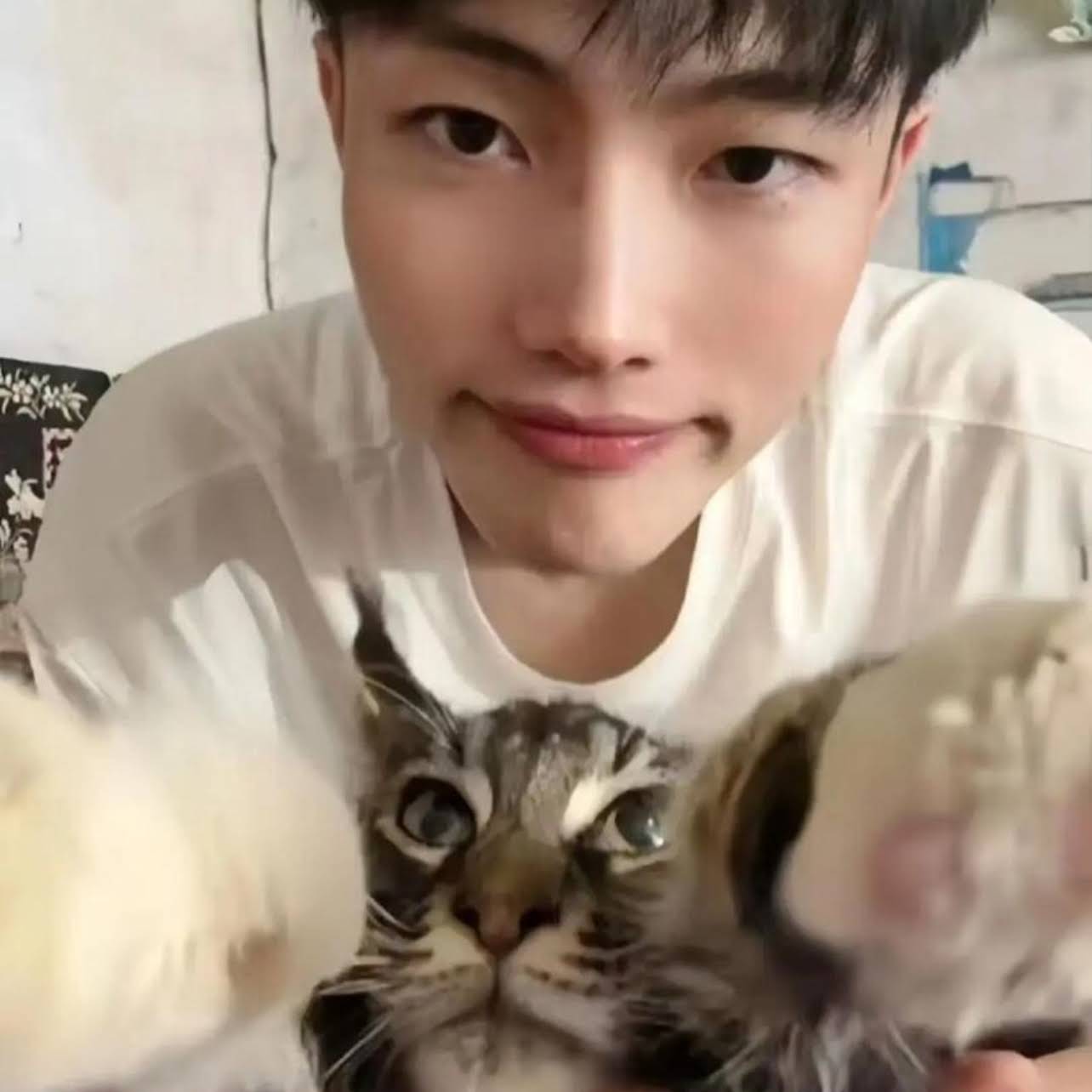 Post from fz粉子fan