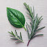 c_Z7gBuGBuc-channel-avatar-Your Fresh Recipes