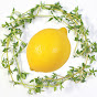 Lemon Thyme 레몬 타임