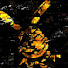 b35JyFI35Zc-channel-avatar-Flixs