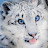 @Snow_Leopard-Sop