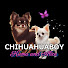 6oPqEsJ81pw-channel-avatar-ちわわぼうず  CHIHUAHUABOY