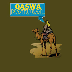 tiktok qaswa net worth