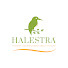 l7kLV5rX_ug-channel-avatar-Halestra