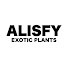 RrcANFLyqqo-channel-avatar-ALISFY EXOTIC PLANTS