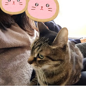 音楽と猫大好きyoppi 🎵