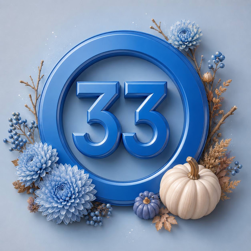33 канал