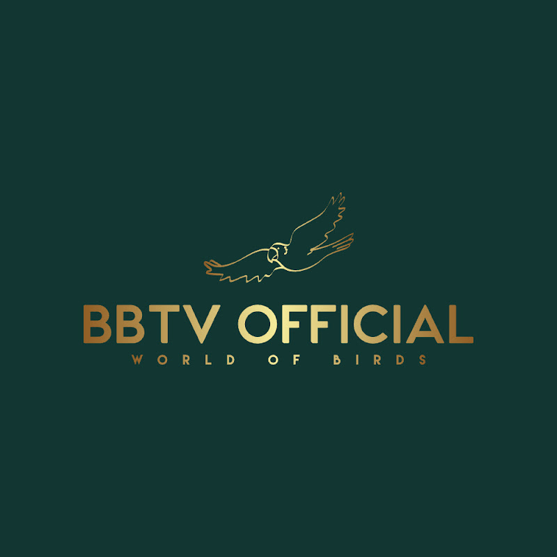 BBTV Official