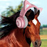 4f2mrPbk21Q-channel-avatar-HorsePlays