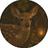 w4P2ueh4OyU-channel-avatar-RedditReborn and QuokkaReads