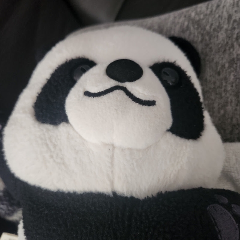 해피 팬더