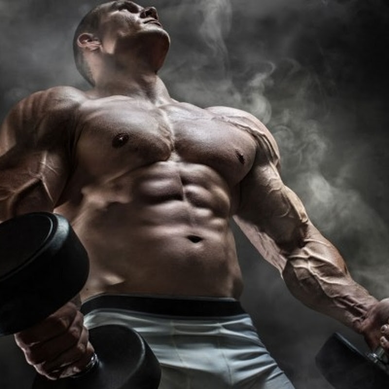 world fitness