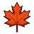 @Maple_Canvas