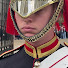 jK2eL06Fq1U-channel-avatar-The king's Guard's And Royal Horses