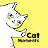 81_ZCM4Ik2I-channel-avatar-Cat Moments Diary