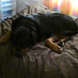 King Damon The Pagan